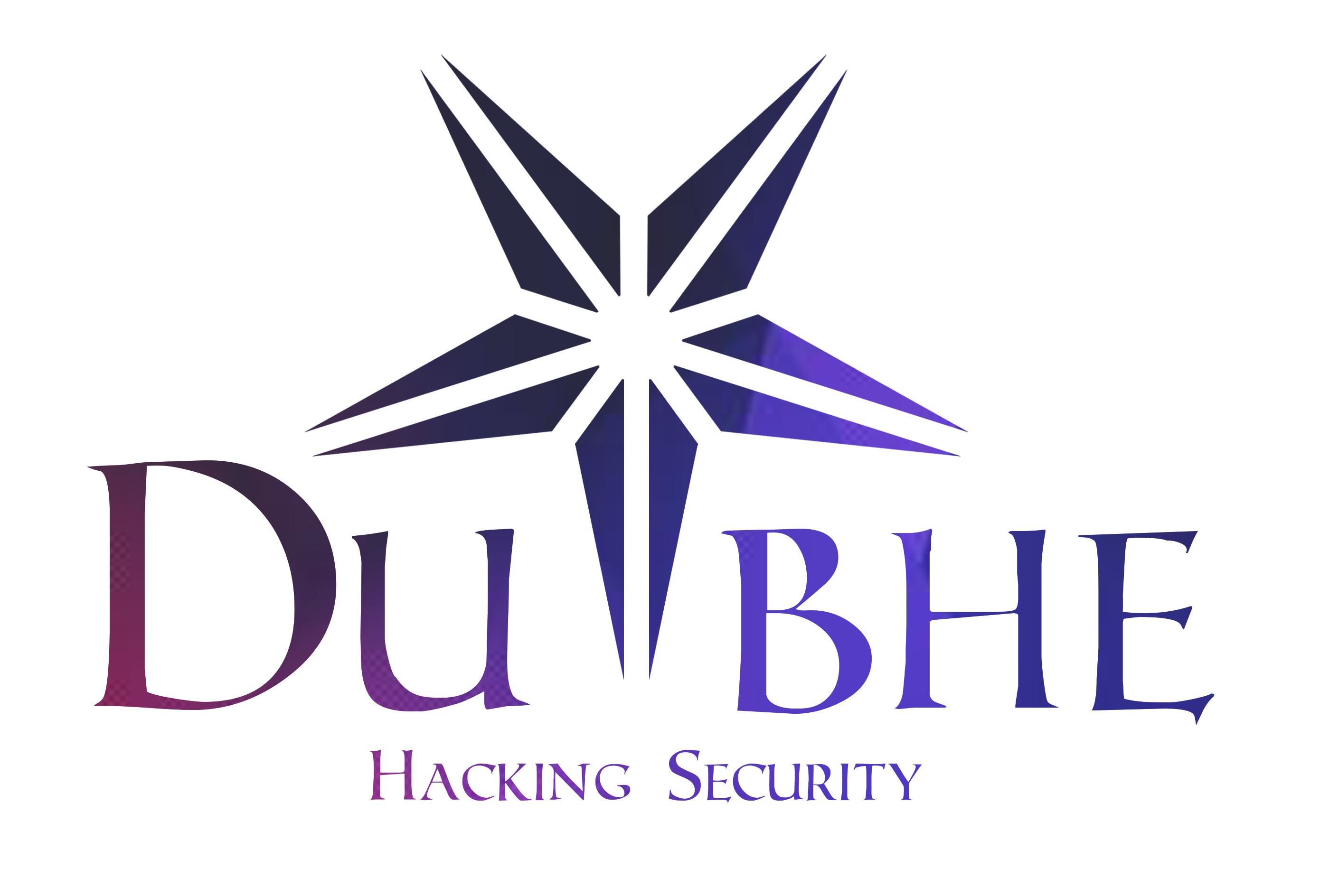Hacking Security
